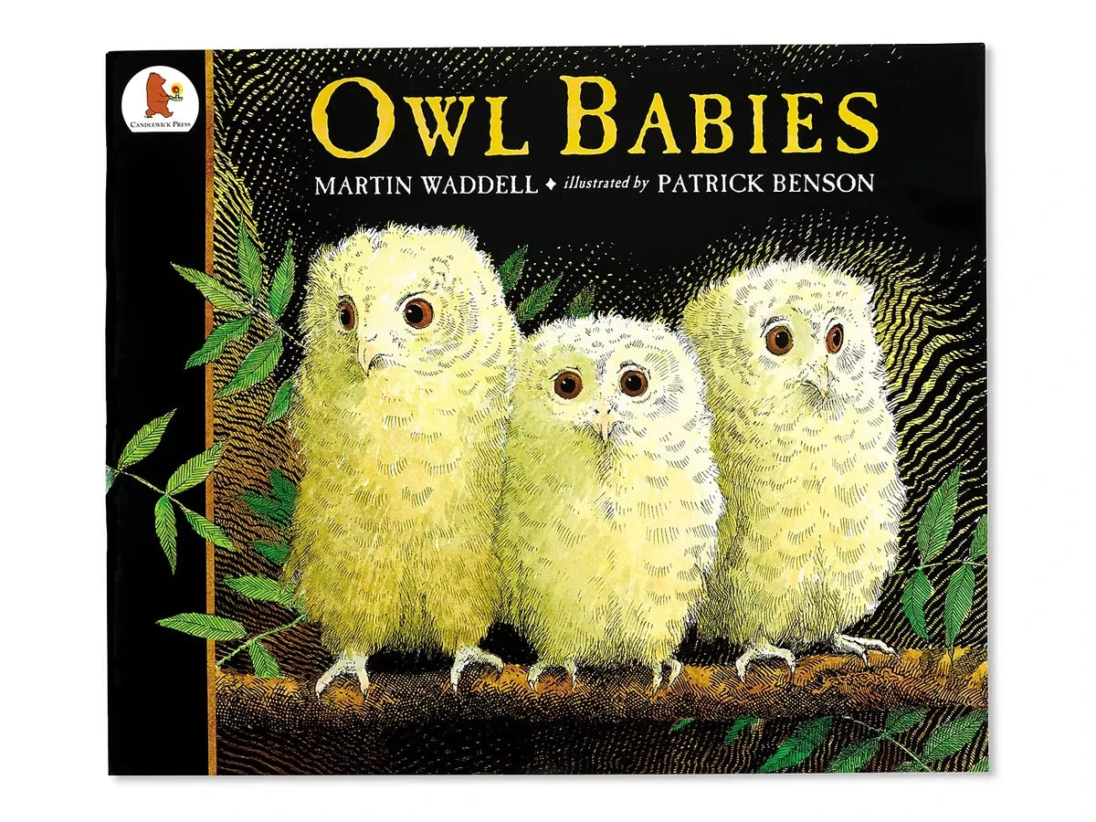 Owl Babies Big Book - US 8702