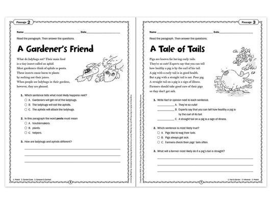 Comprehension Skills Workbook - Gr. 2 - US 2214