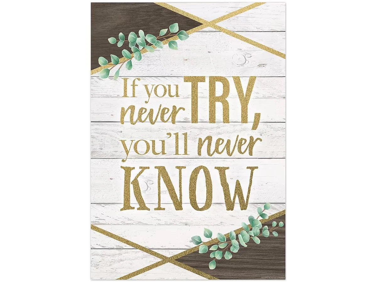 Eucalyptus If You Never Try Poster - US 7662