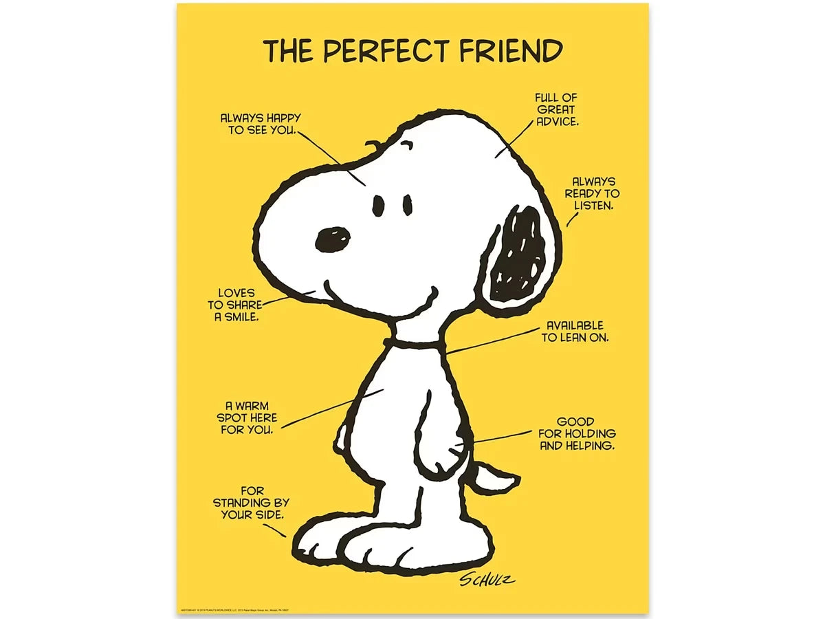 Peanuts® the Perfect Friend Poster - US 1131