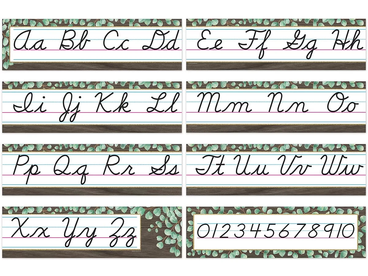 Eucalyptus Cursive Bulletin Board Set - US 6560