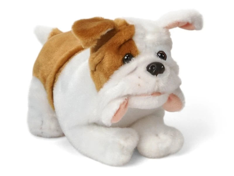 The Pet Vet - US 5237