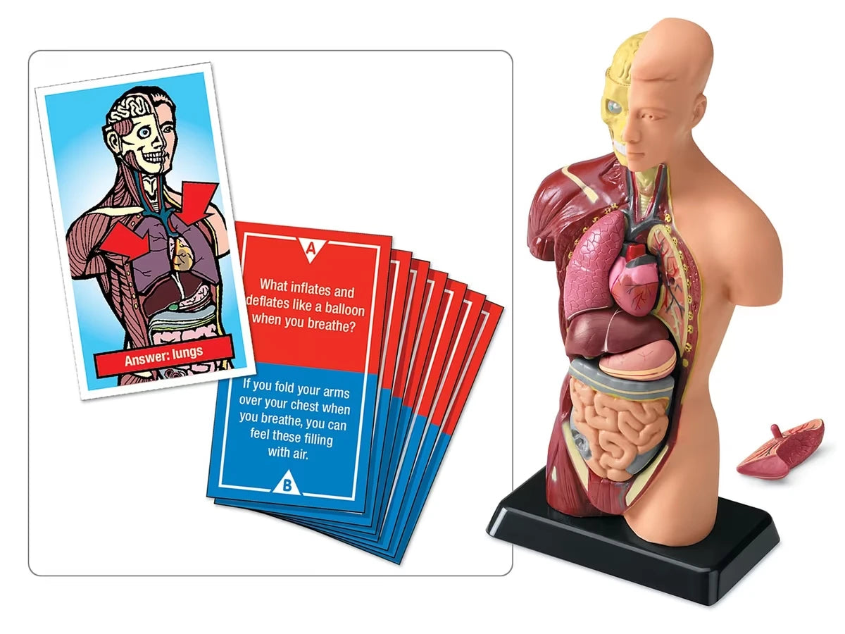 Fascinating Facts Human Body Game - US 9521