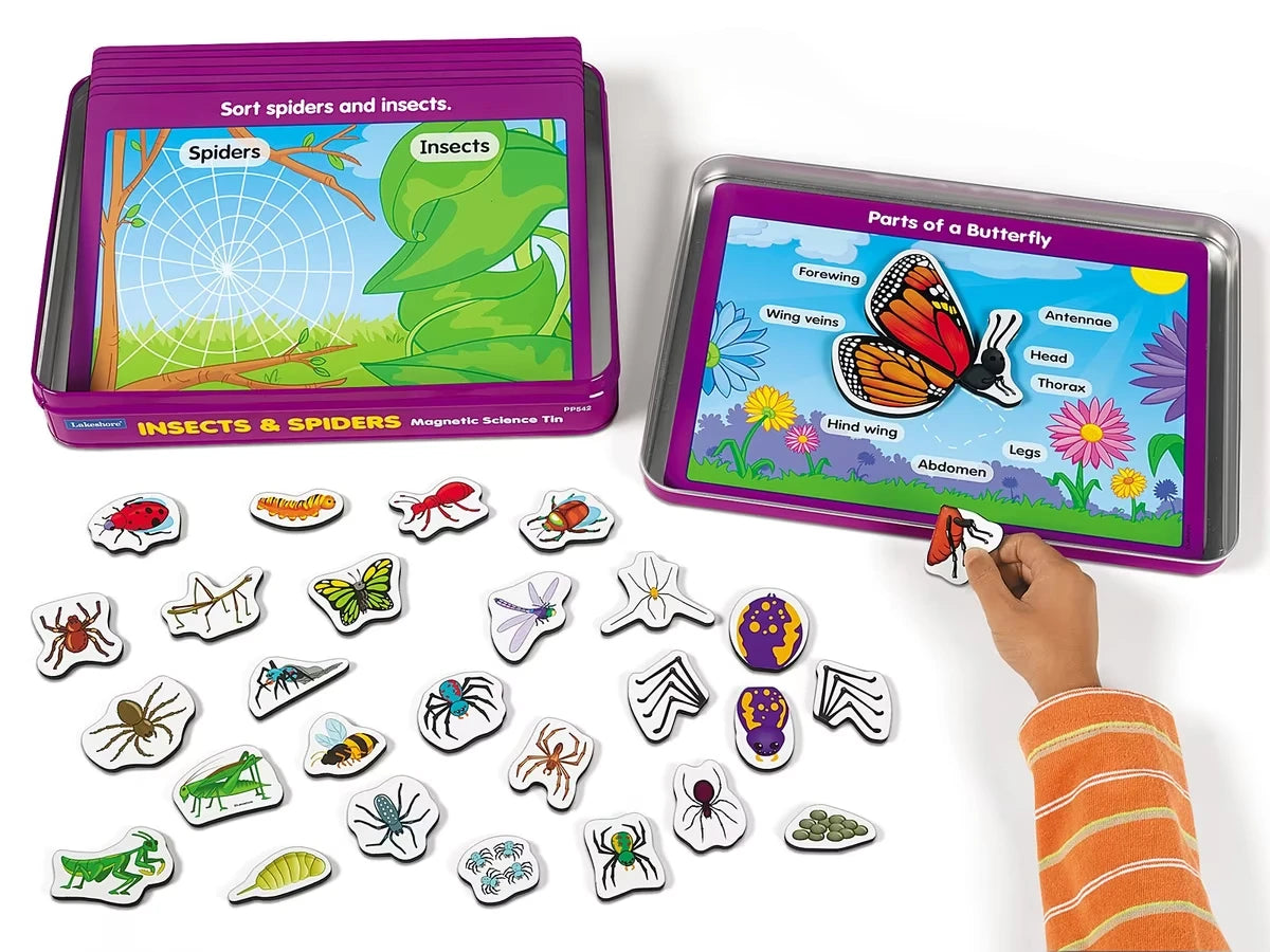 Insects & Spiders Magnetic Activity Tin - US 1707