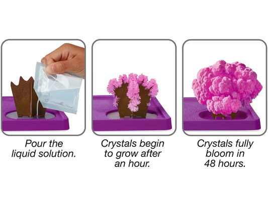 Dinosaurs Magic Crystal Growing Kit - US 5891