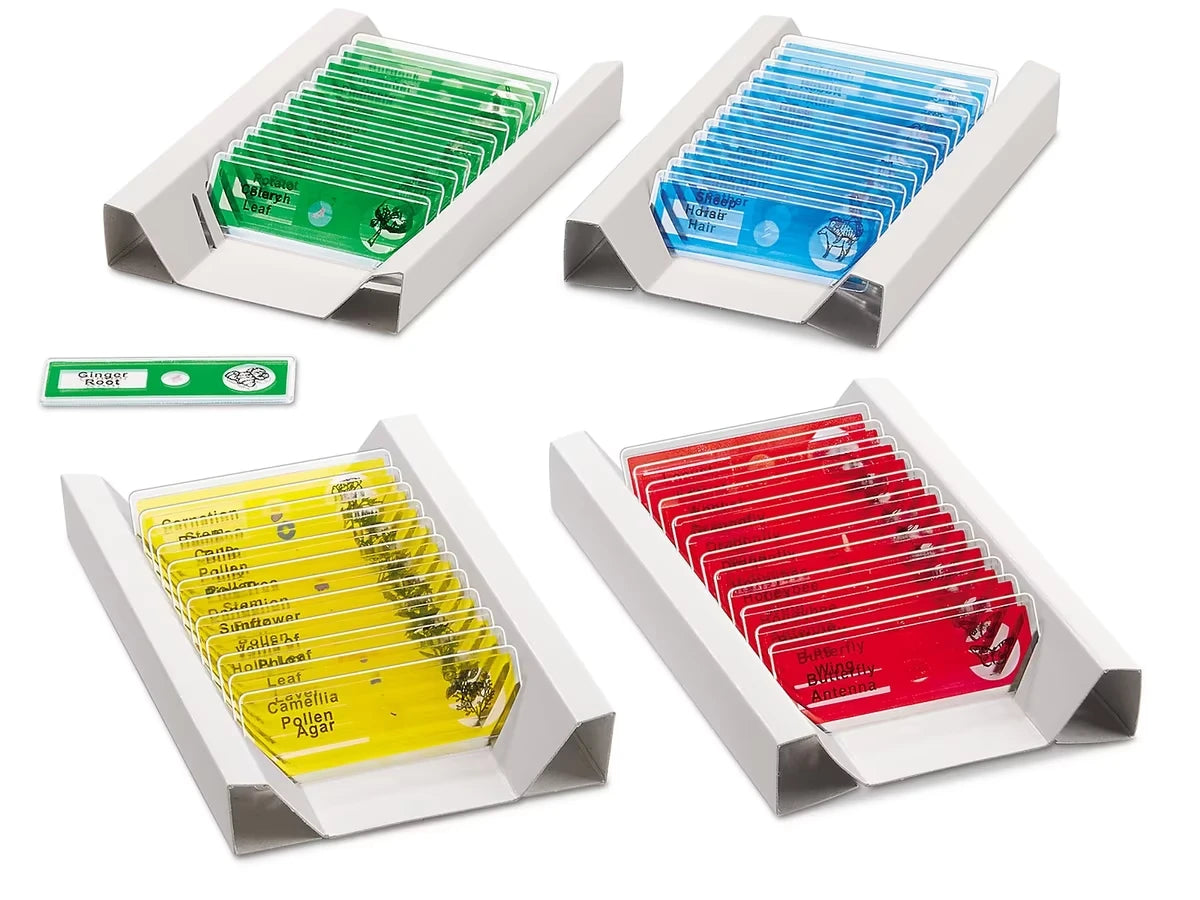 Prepared Slides - Complete Set - US 9203