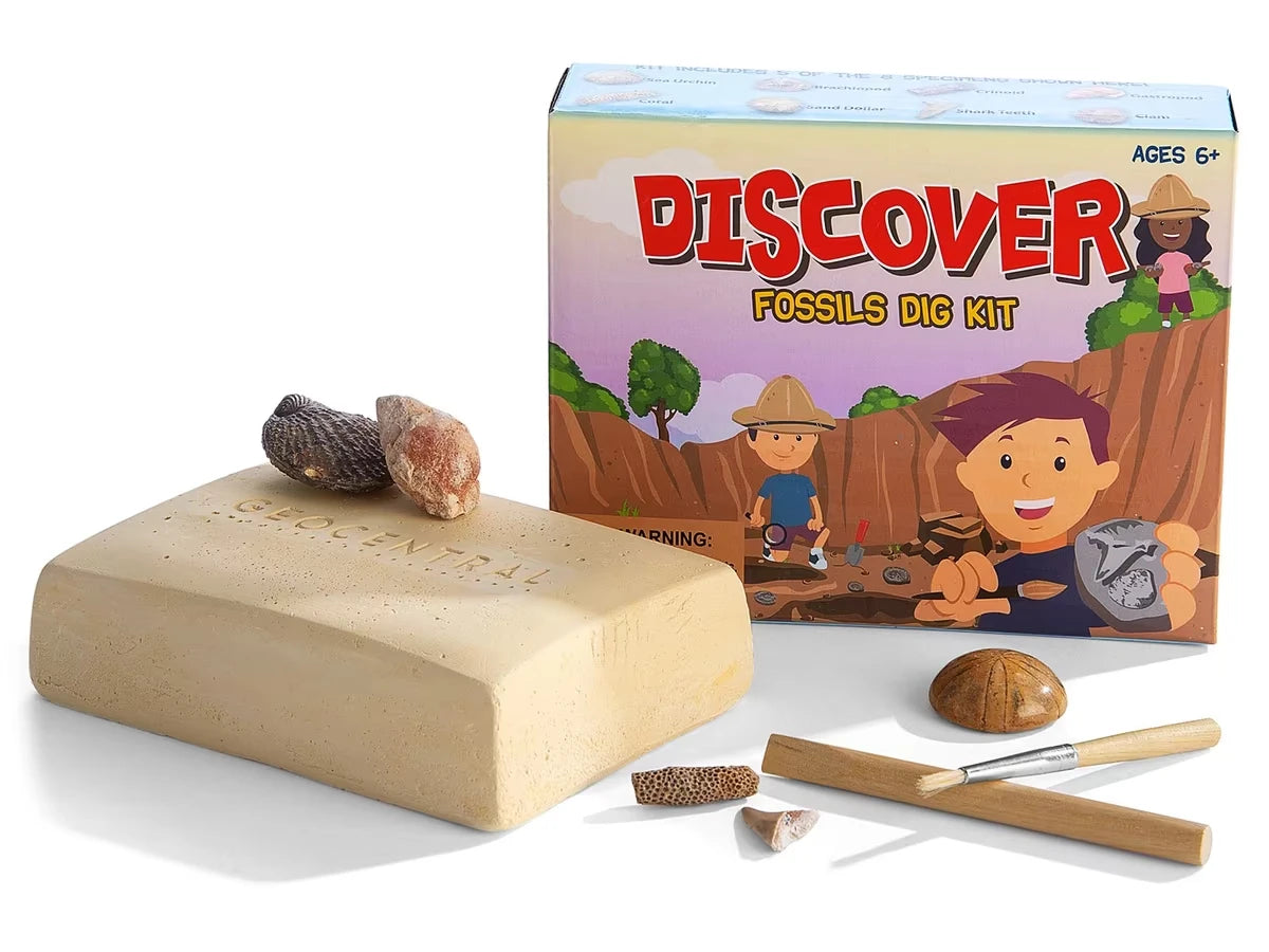 Fossil Excavation Kit - US 7637