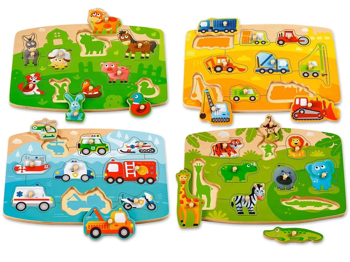 Beginner’s Peg Puzzle Set - US 8756