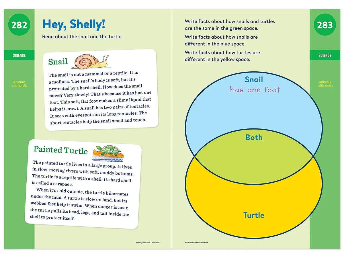 Brain Quest Workbook - Gr. 2 - US 6019