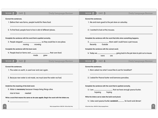 Daily Language Review Workbook - Gr. 3 - US 2283