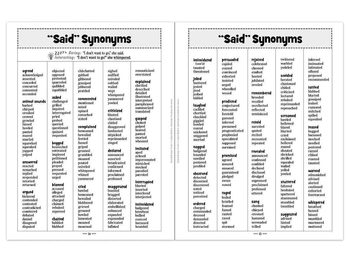 Banish Boring Words Workbook - US 1346
