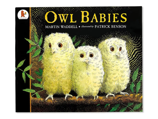 Owl Babies Big Book - US 8702