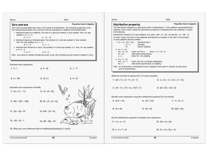 Pre-Algebra Skills for Success Workbook - US 1669