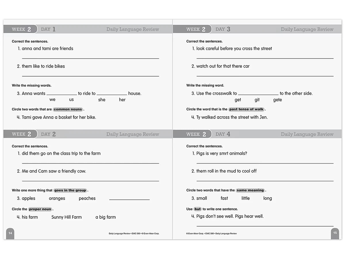 Daily Language Review Workbook - Gr. 2 - US 5320