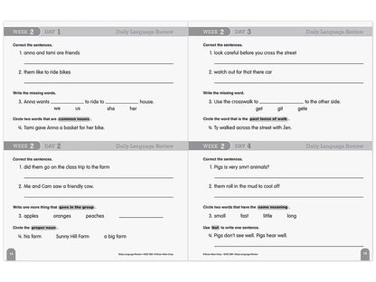 Daily Language Review Workbook - Gr. 2 - US 5320