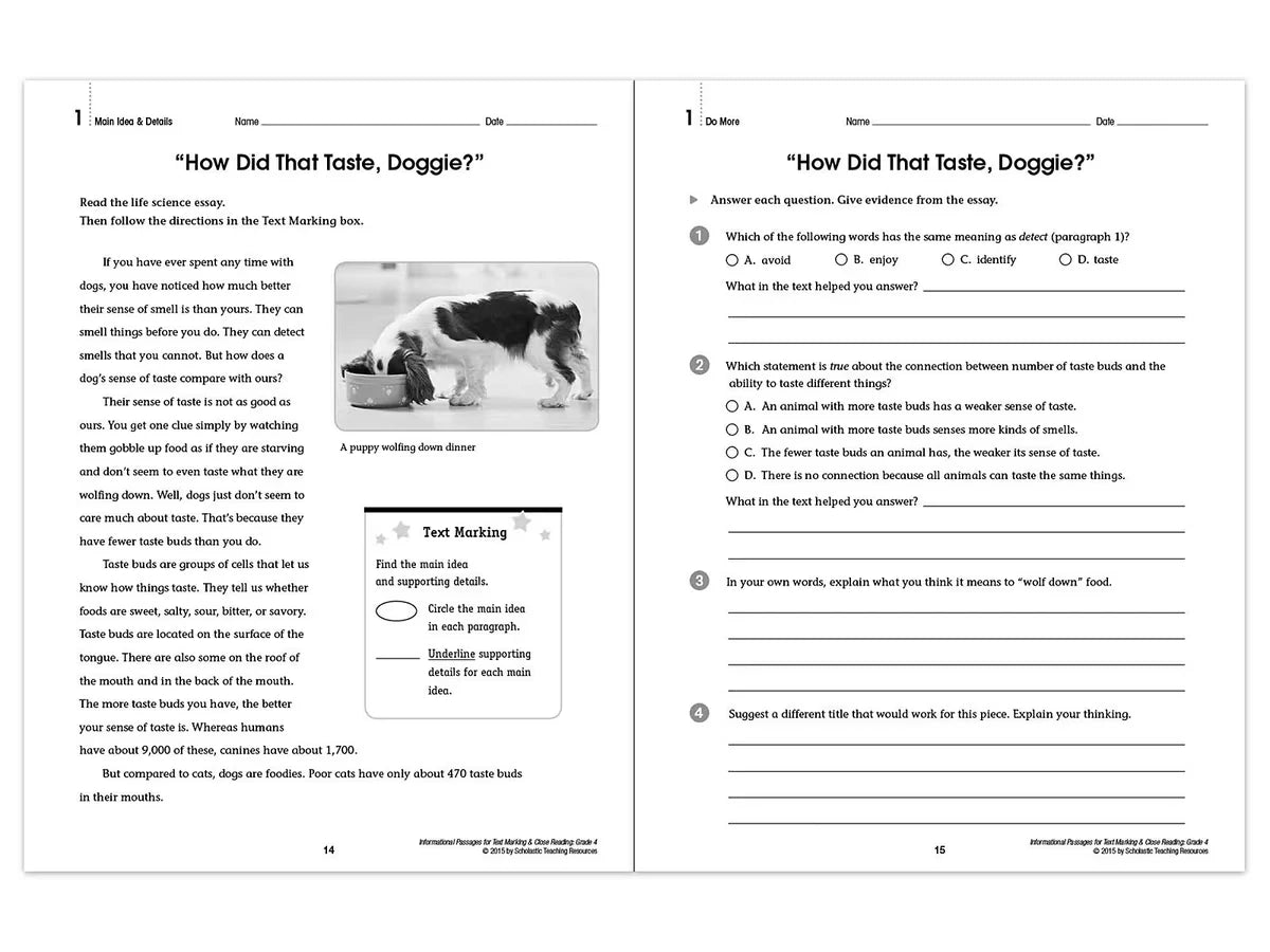 Text Marking & Close Reading Workbook - Gr. 4 - US 9717