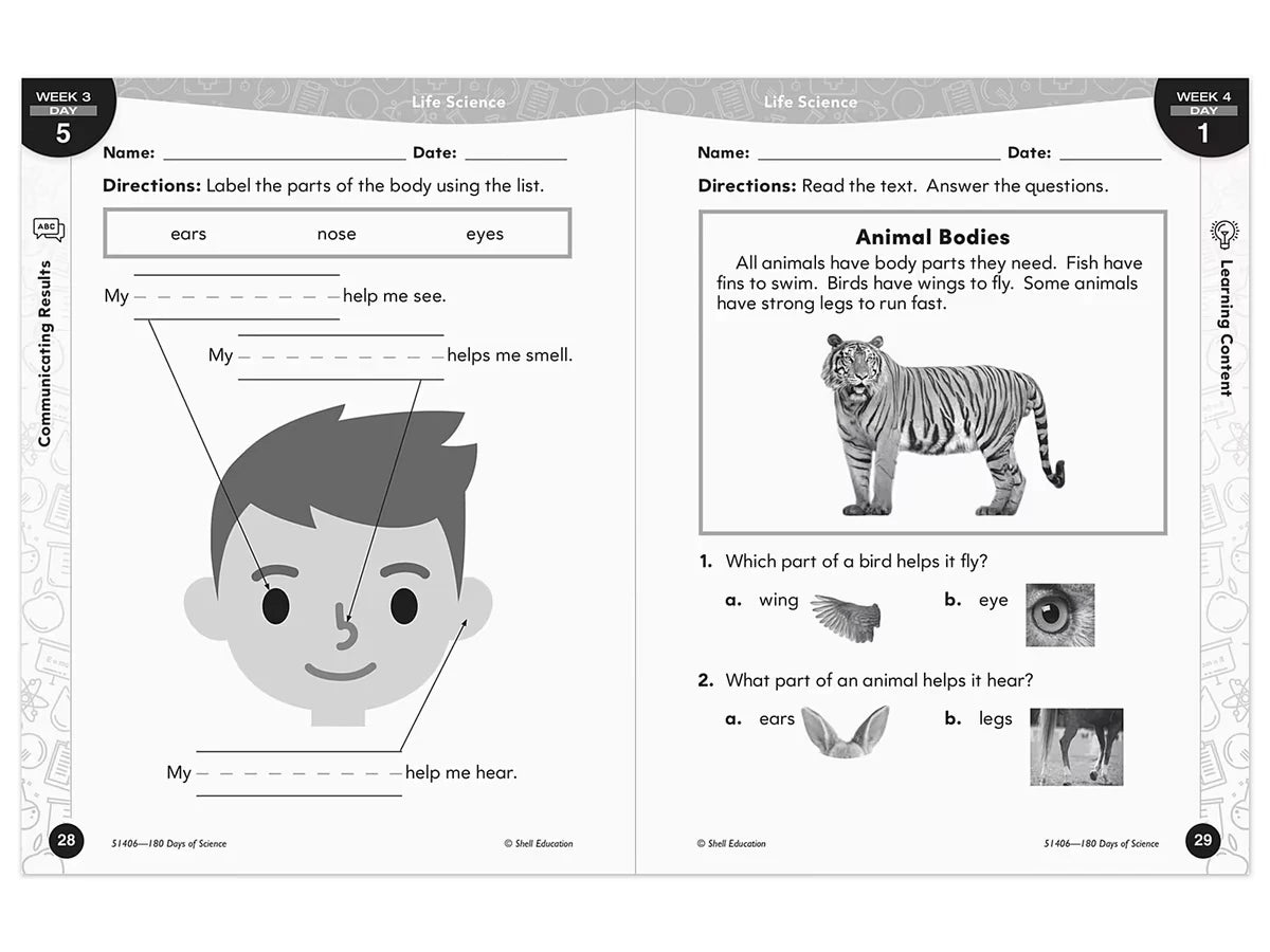 180 Days of Science Workbook - Kindergarten - US 4446