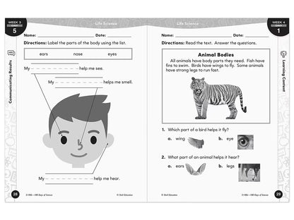 180 Days of Science Workbook - Kindergarten - US 4446