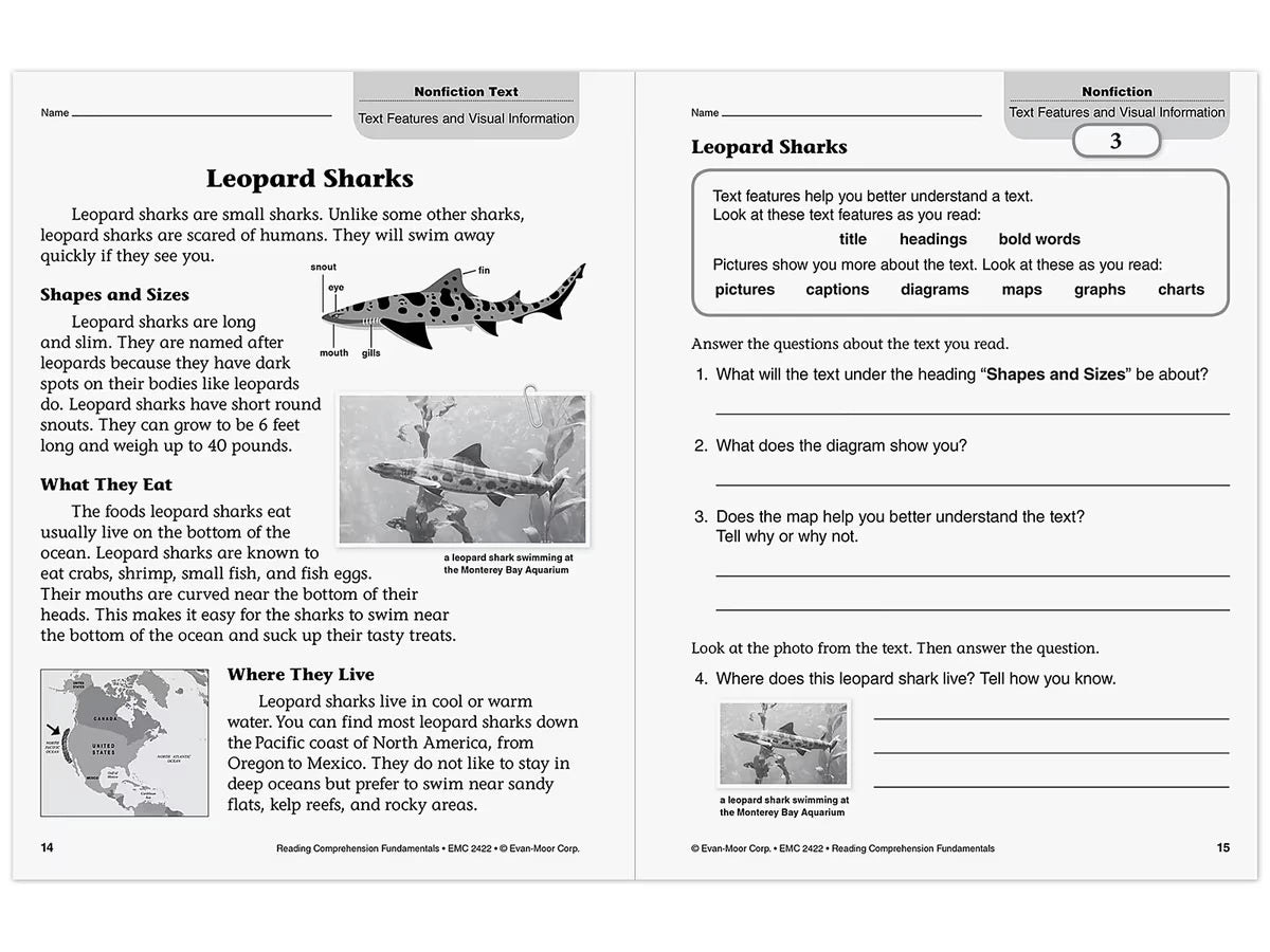 Reading Comprehension Fundamentals Workbook - Gr. 2 - US 4299