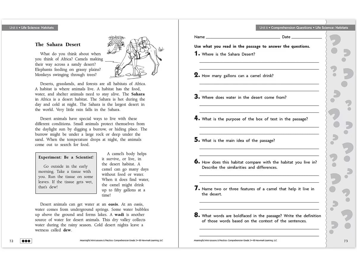 Comprehension Workbook - Gr. 3 - US 3299