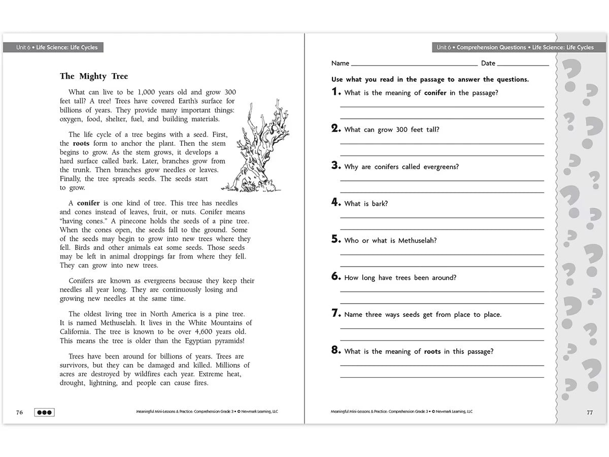 Comprehension Workbook - Gr. 3 - US 3299