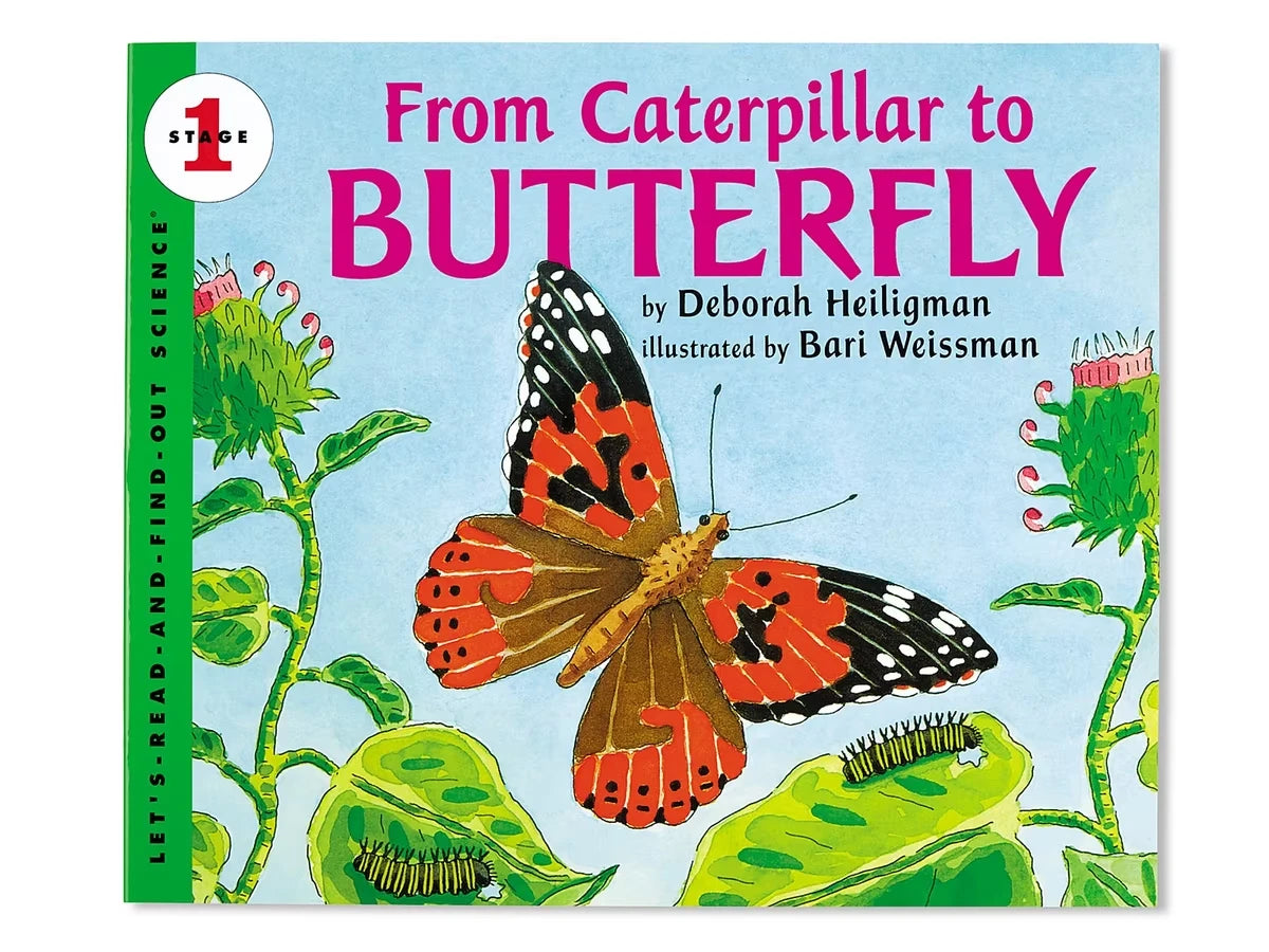 From Caterpillar to Butterfly Big Book - US 3172