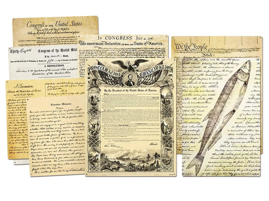 Primary Source Magnetic Poster Pack - US 9840