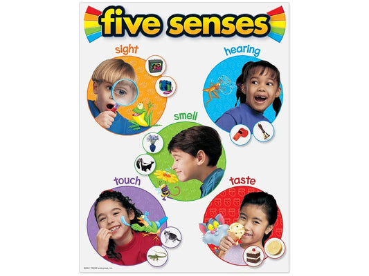 Five Senses Photo Reference Poster - US 4311