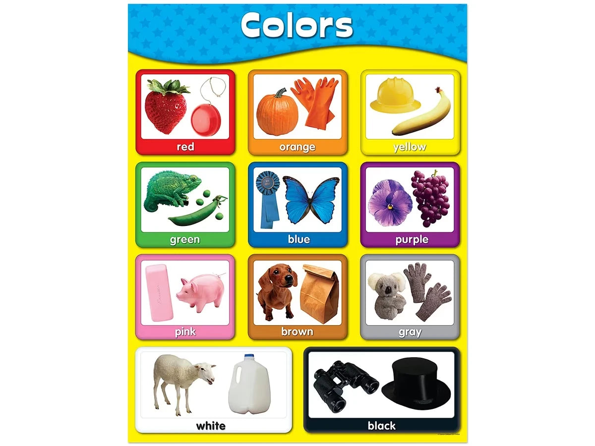 Exploring Colors Poster - US 2929