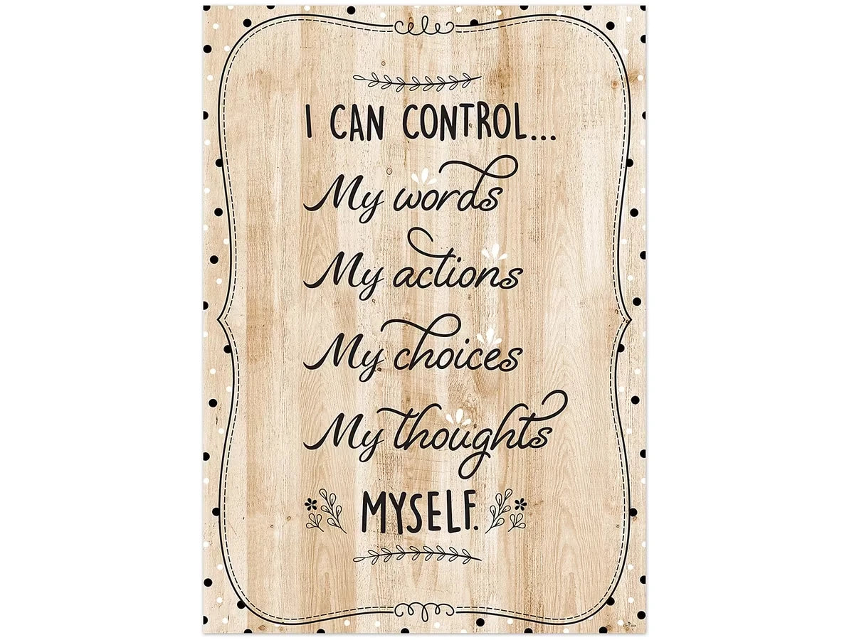 I Can Control… Wooden Poster - US 4763