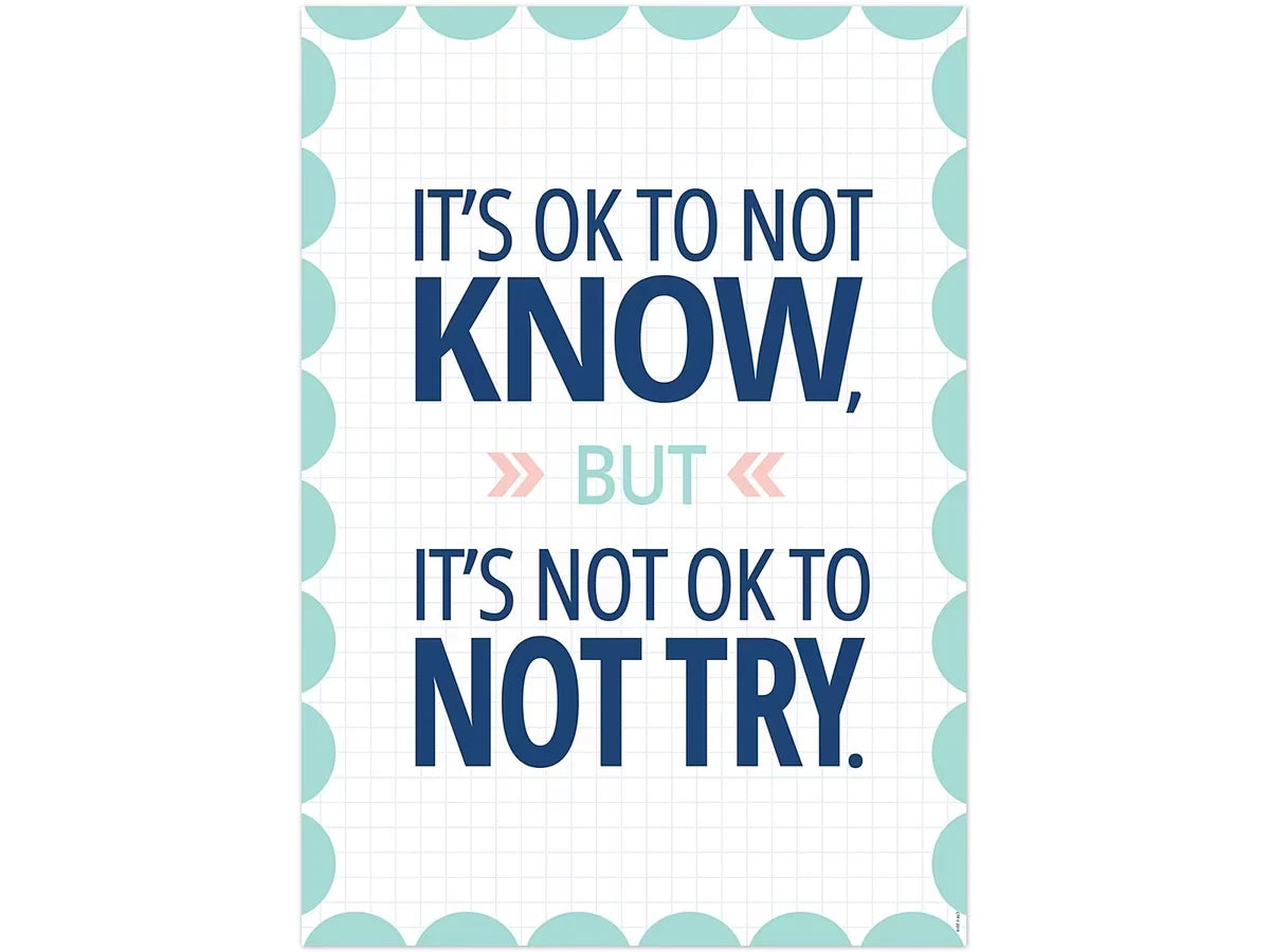 Calm & Cool It’s OK to Not Know Poster - US 3360