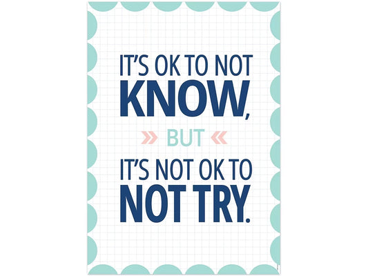 Calm & Cool It’s OK to Not Know Poster - US 3360