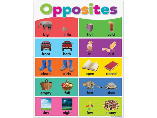 Colorful Opposites Poster - US 8295