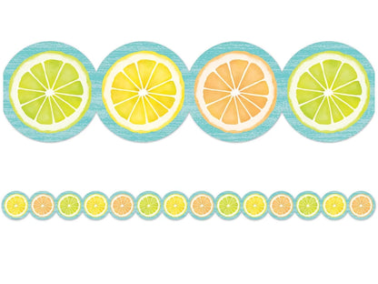 Lemon Zest Citrus Slices Border - US 1625