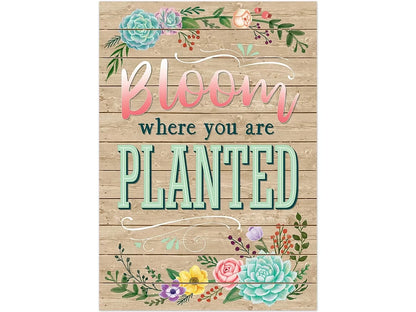 Rustic Bloom - Bloom Where You Are Planted Poster - US 2017