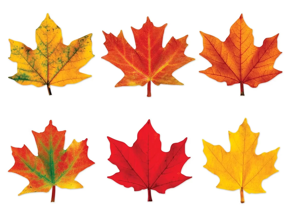 Maple Leaf Mini Accents - US 8286