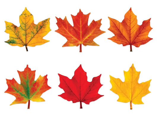 Maple Leaf Mini Accents - US 8286