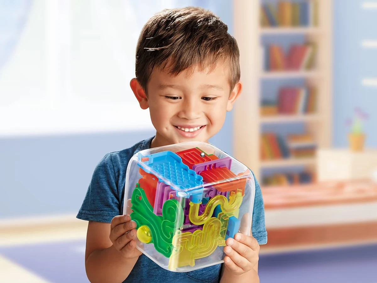 The Maze Cube - US 1308