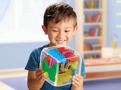 The Maze Cube - US 1308