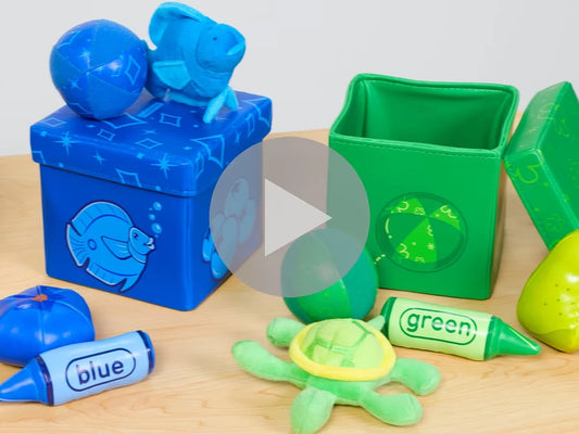 Color Discovery Boxes - US 1594