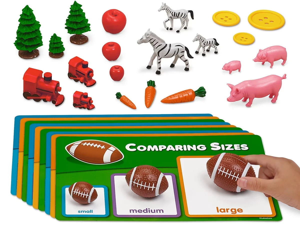 Comparing Sizes Activity Box - US 7010