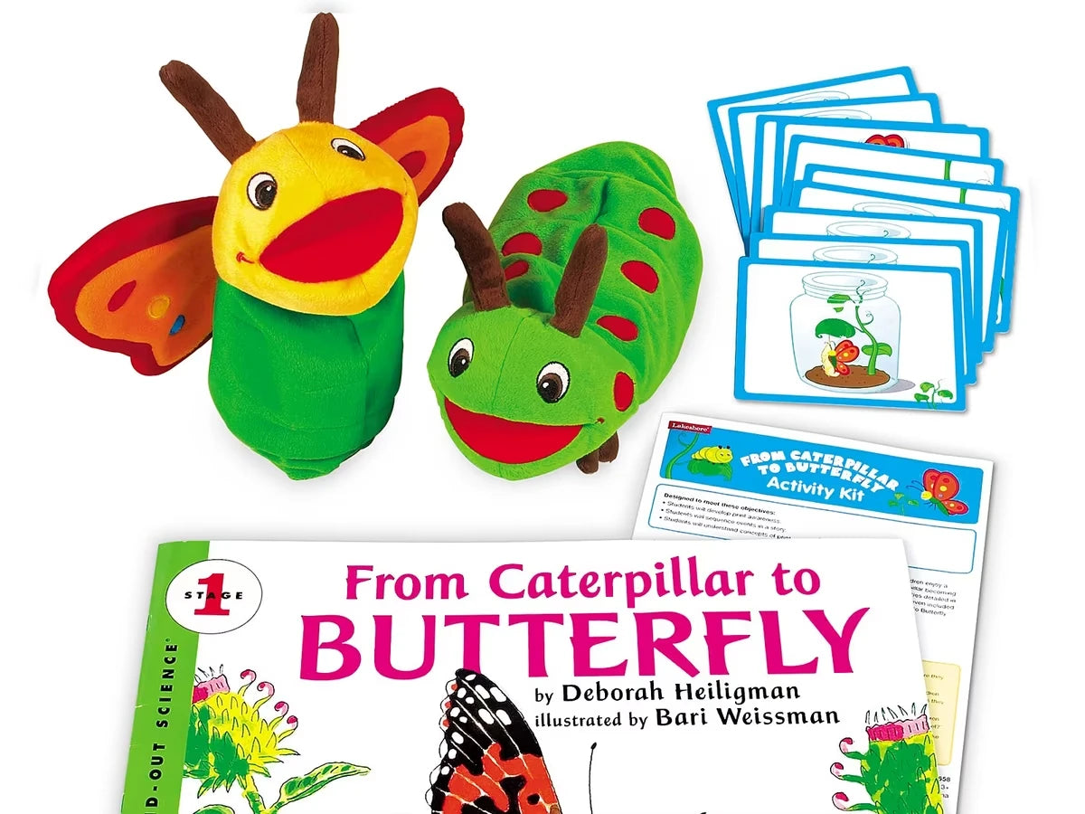 From Caterpillar to Butterfly Big Book Activity Kit - US 7440