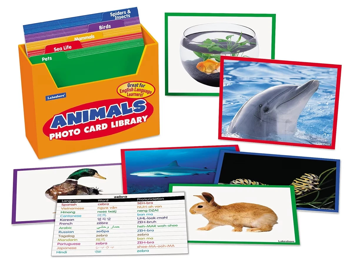 Animals Vocabulary Development Photo Card Library - US 4735