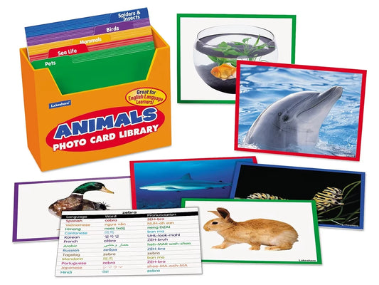 Animals Vocabulary Development Photo Card Library - US 4735