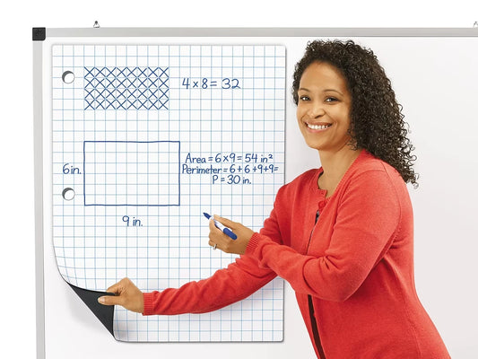 Giant Magnetic Graph & Array Chart - US 6454