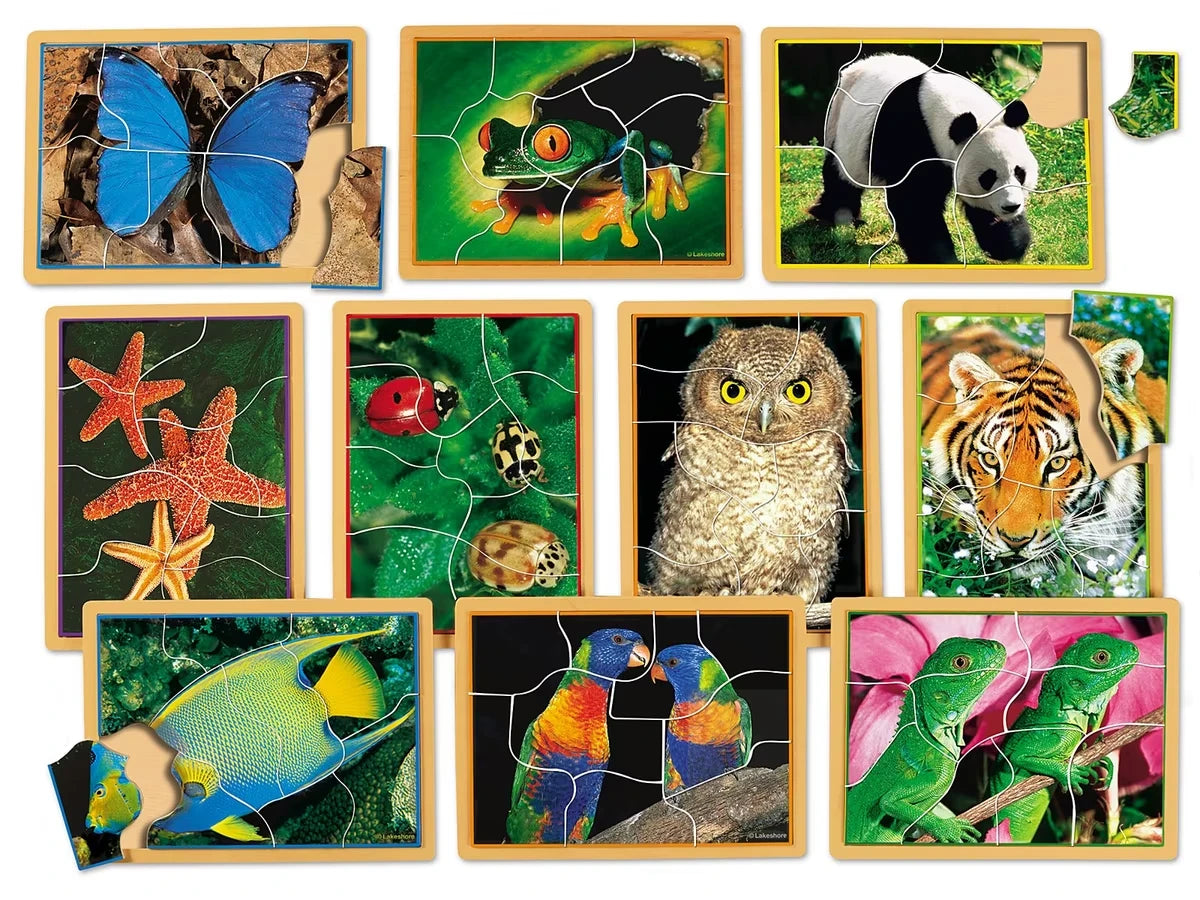 Animals Up Close Puzzle Set - US 2443