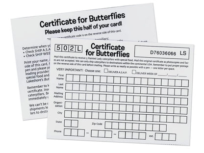 The Butterfly Nursery - US 7551