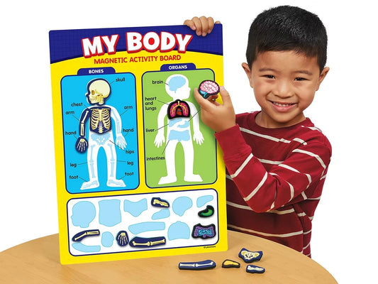 My Body Magnetic Activity Board - US 4974