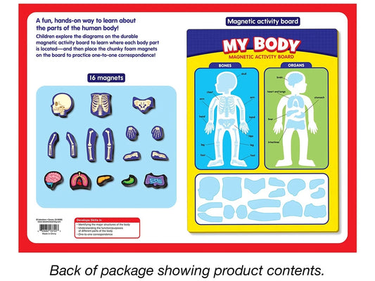 My Body Magnetic Activity Board - US 4974