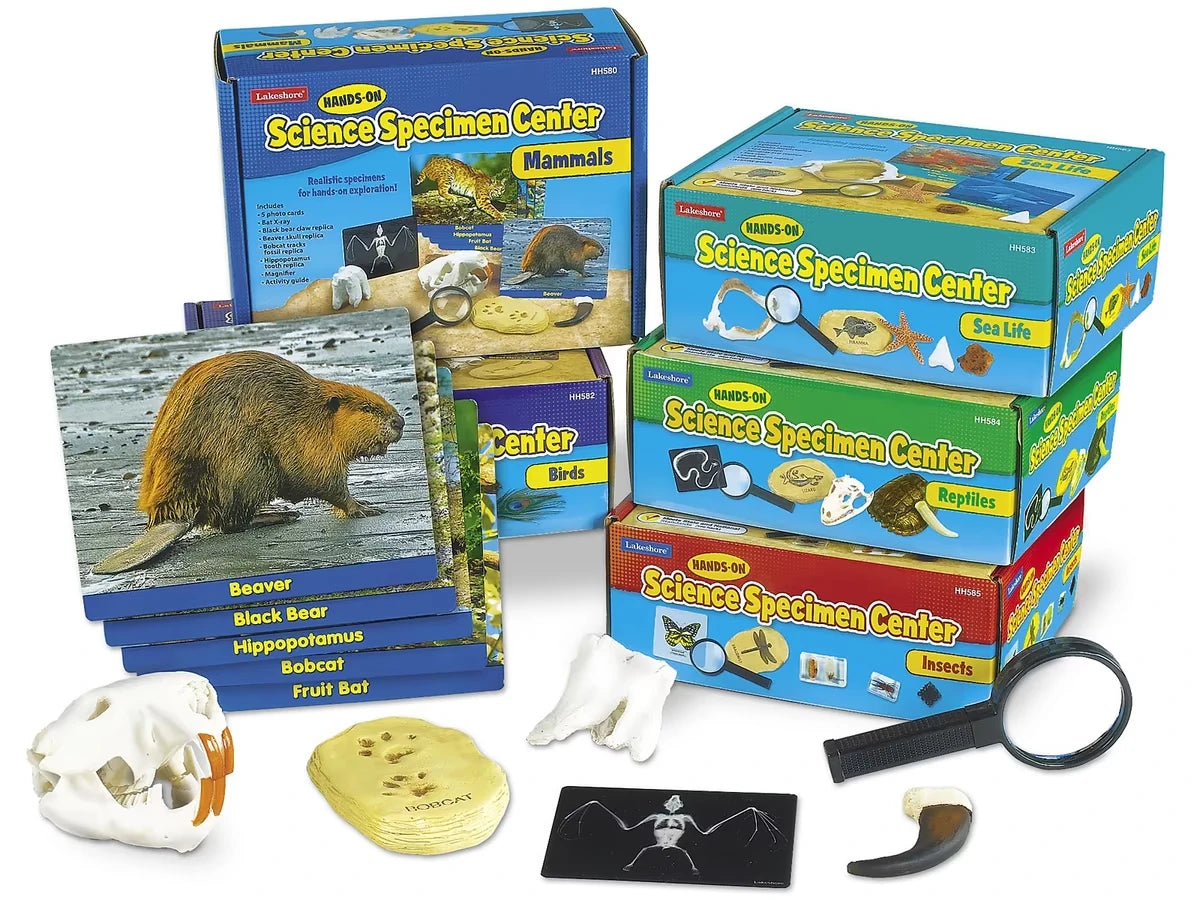 Hands-On Science Specimen Centers - Complete Set - US 5180